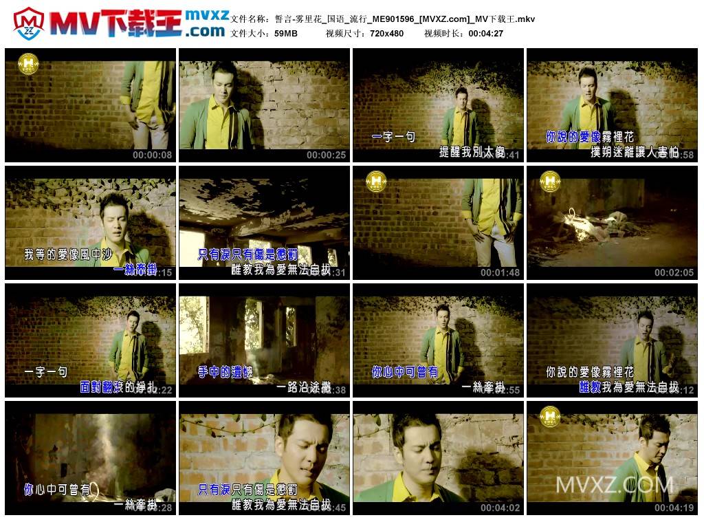 誓言-雾里花_国语_流行_ME901596